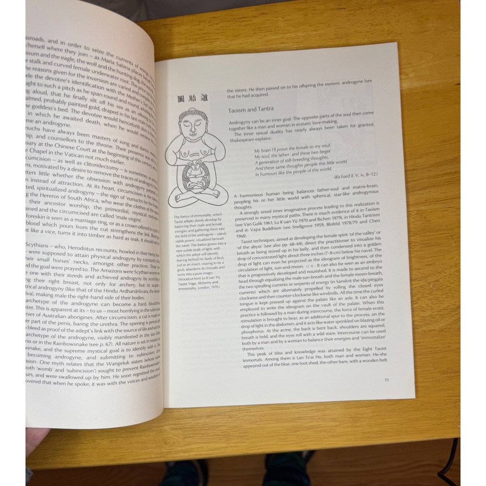 The Androgyne by Elemiere Zolla Illustrated Book Reconciliation Male Female 1981 - Picture 4 of 10
